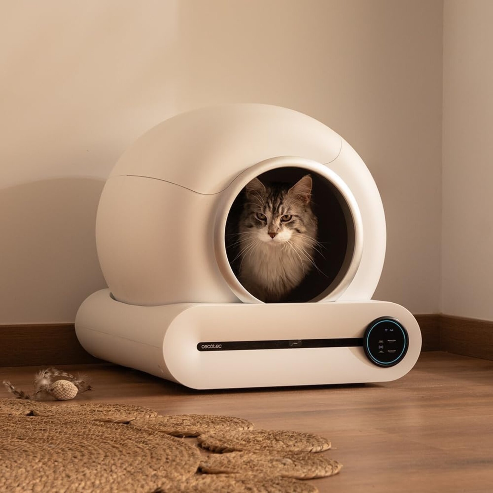 Cecotec  Cecotec Pumba 8000 CleanKitty Smart