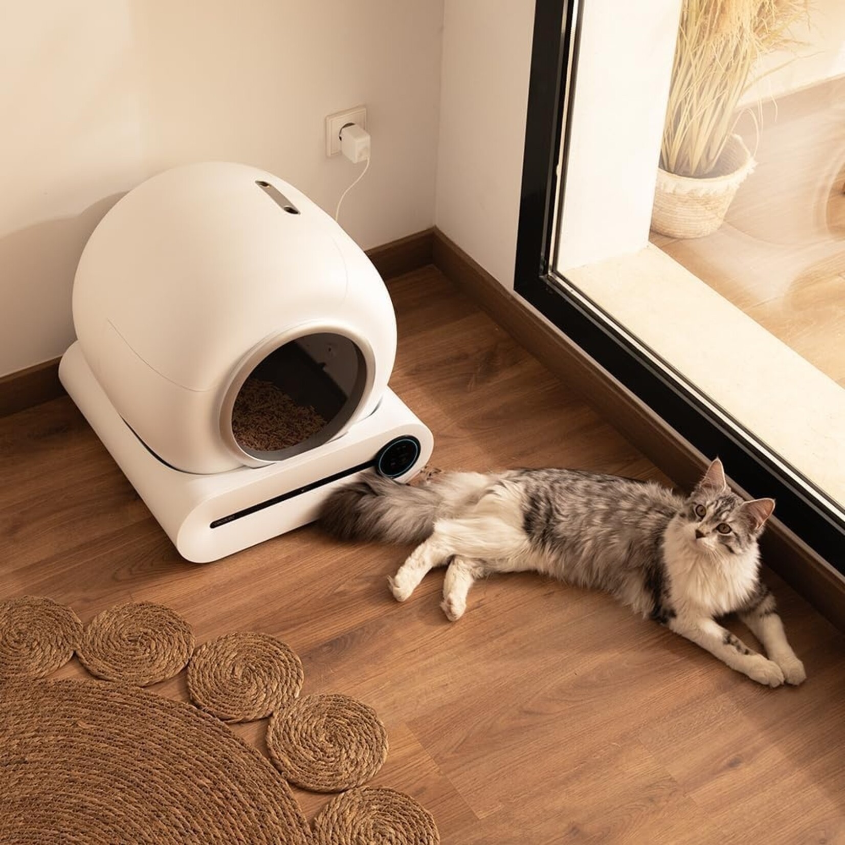 Cecotec  Cecotec Pumba 8000 CleanKitty Smart