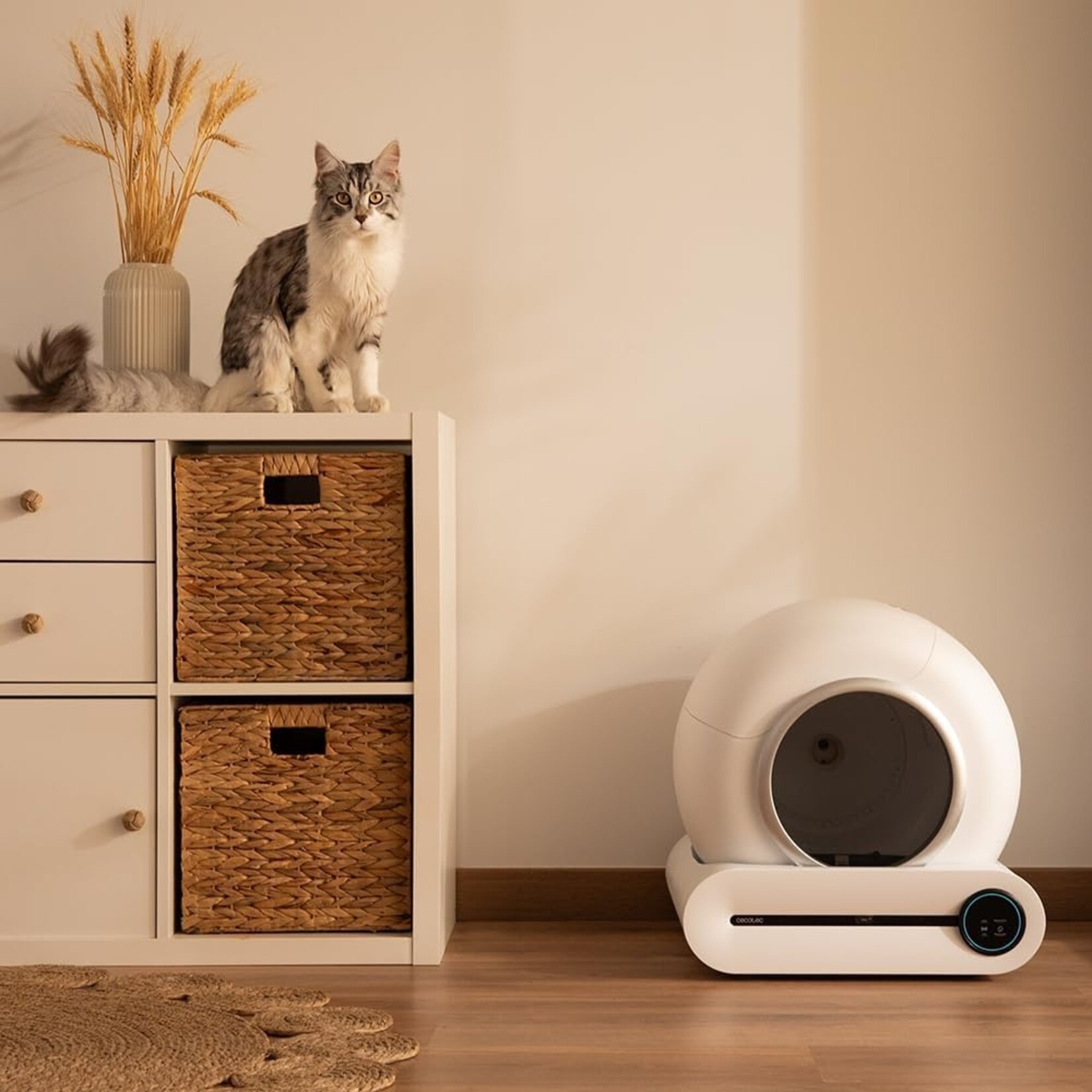 Cecotec  Cecotec Pumba 8000 CleanKitty Smart