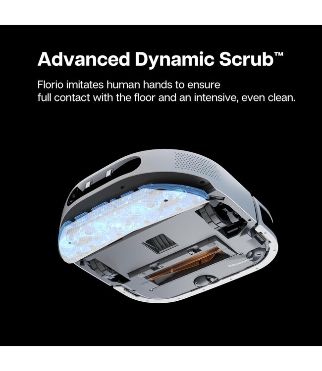 NOESIS NOESIS Florio