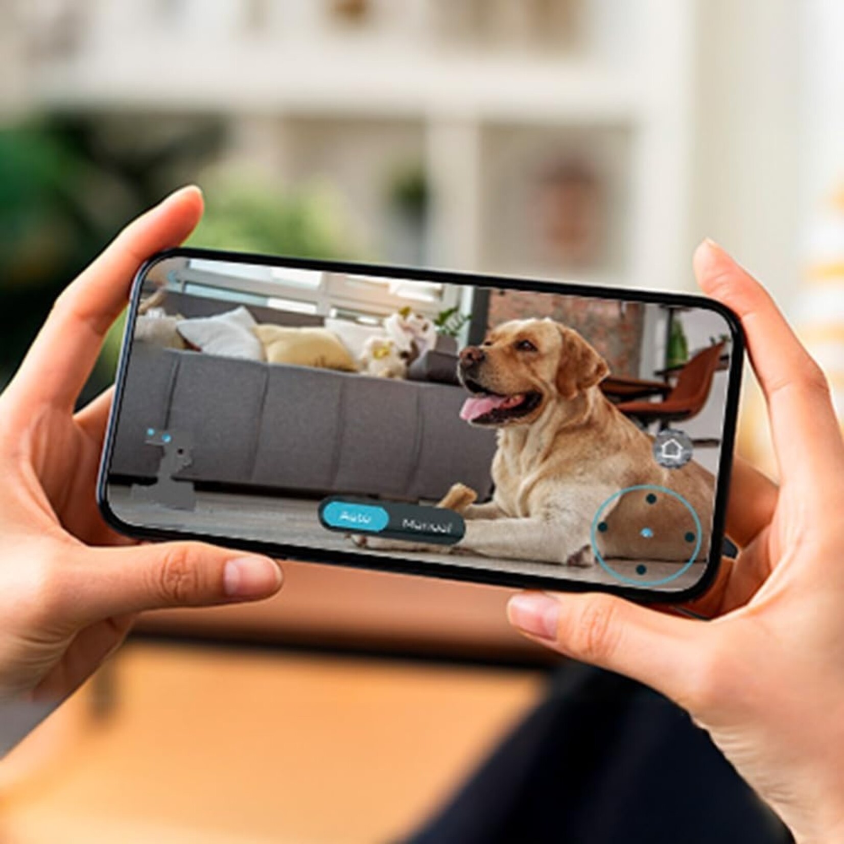 Cecotec Cecotec Conga 20090 ProAI InfinitySoap Cut&Spa Robot