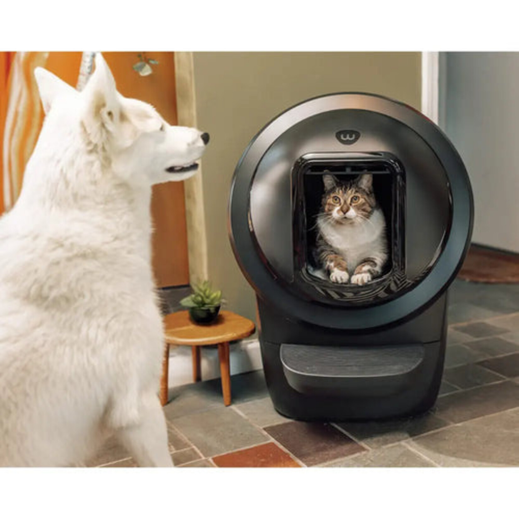 Litter-robot Litter-Robot 4 Bouclier (Noir)