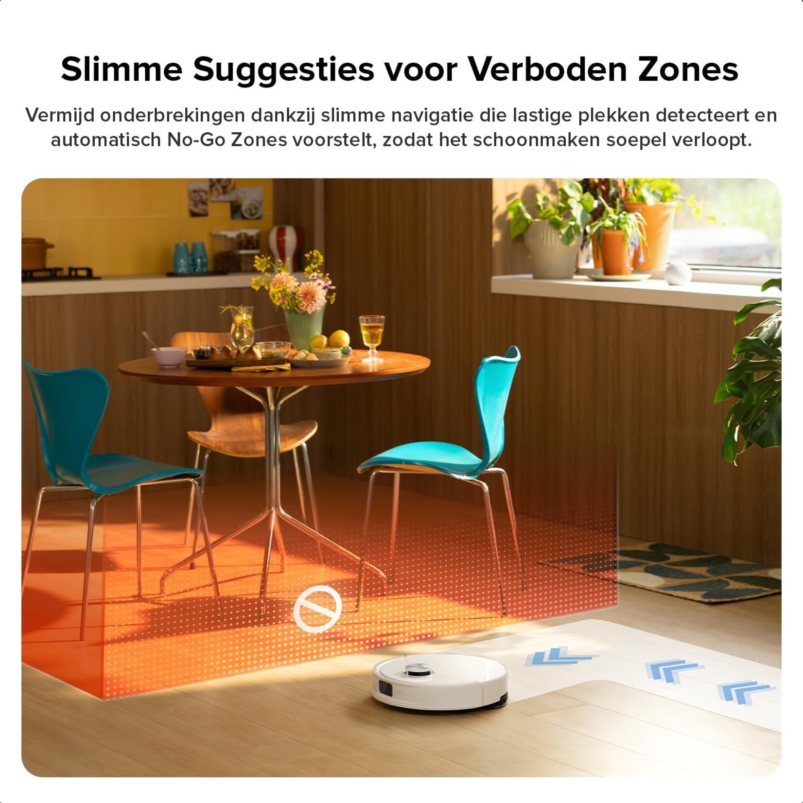 Roborock  Roborock Q10 S5