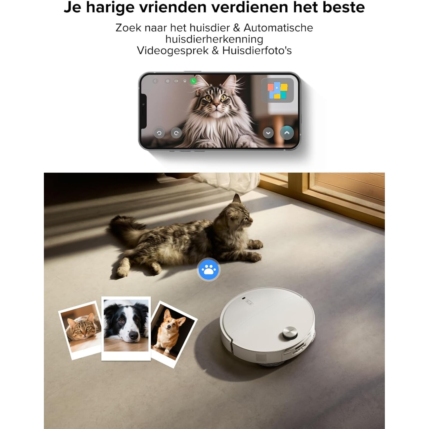 Roborock  Roborock Qrevo CurvX