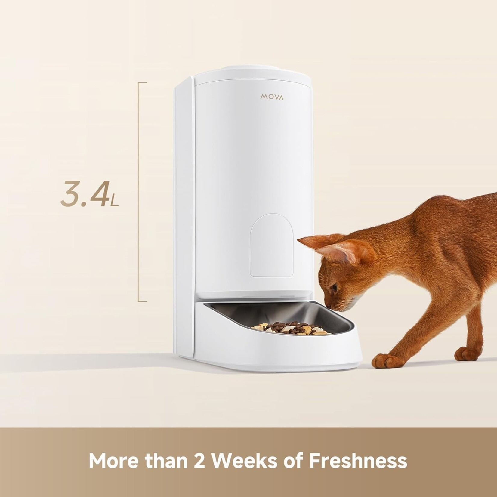 Mova MOVA PF10 Pro Automatic Cat Feeder