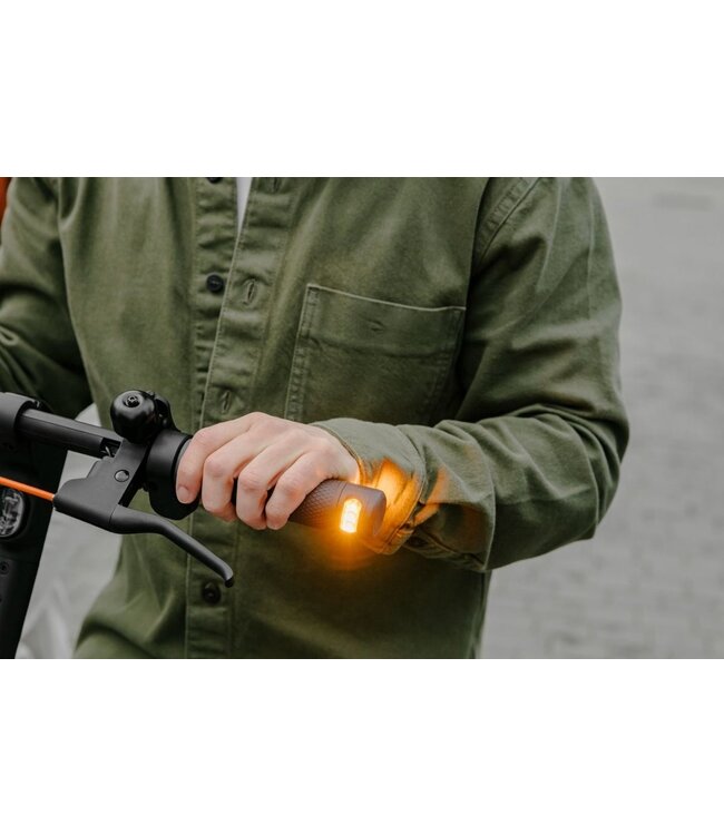 Segway SEGWAY-NINEBOT F2 PRO E