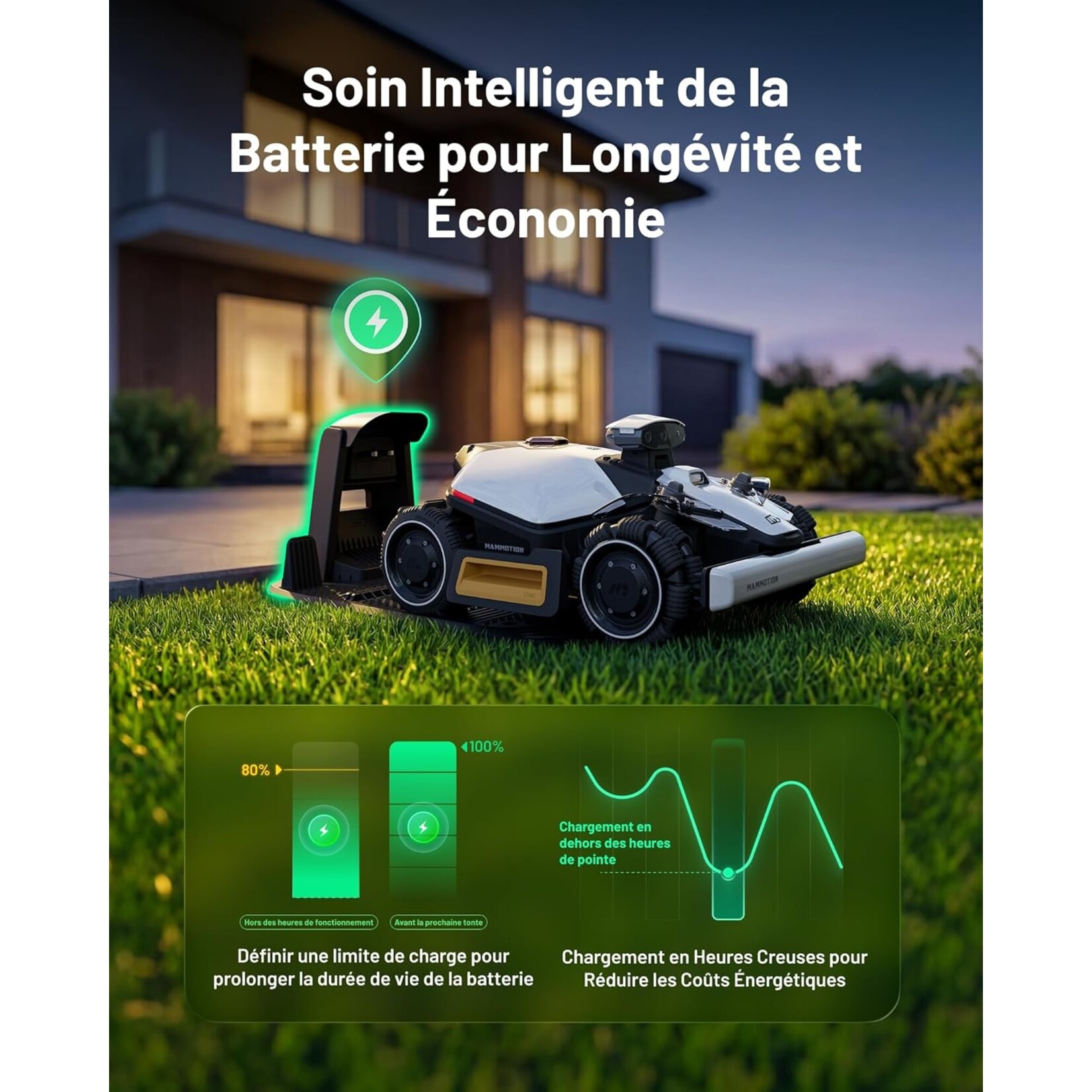 Mammotion MAMMOTION LUBA Mini 2 AWD 1000