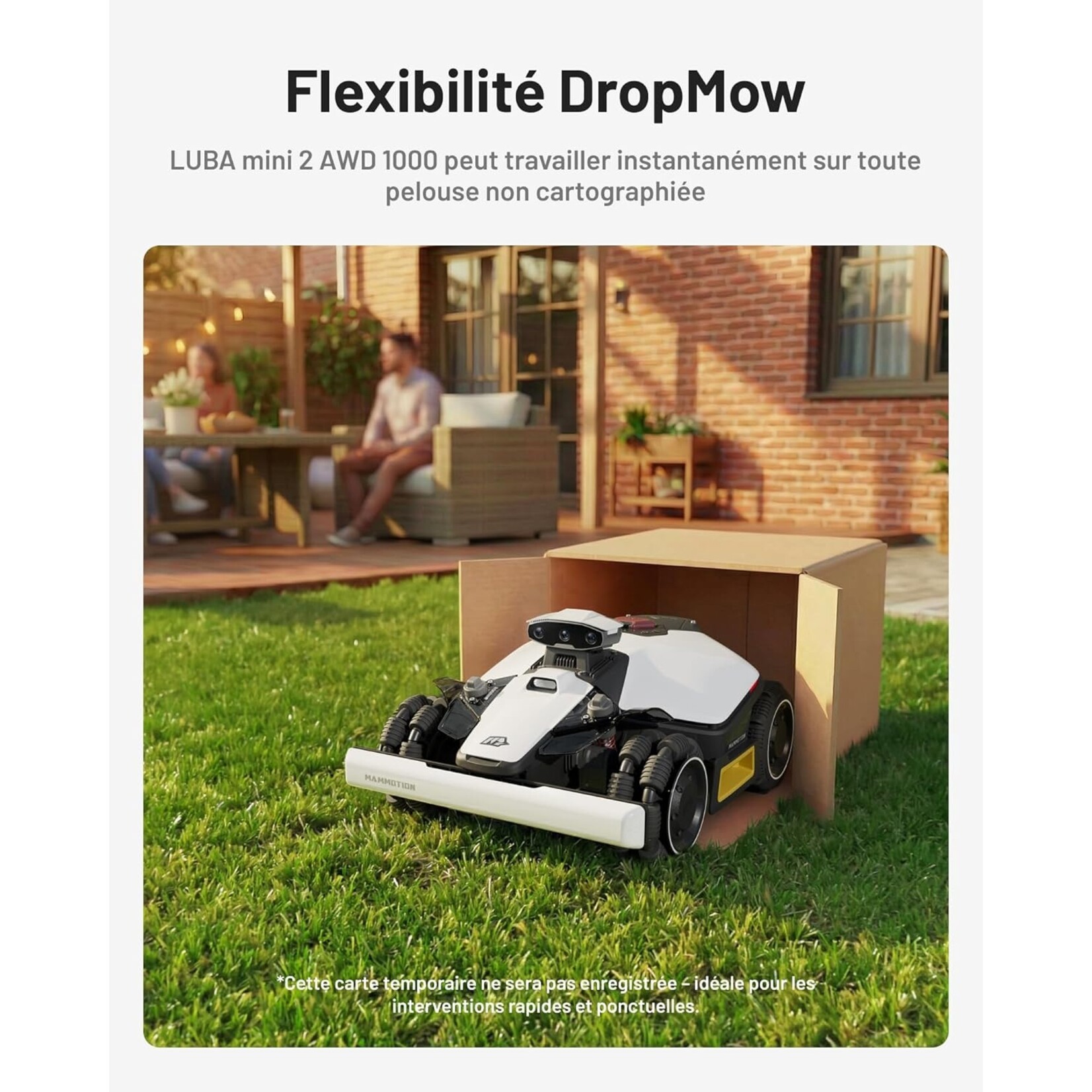 Mammotion MAMMOTION LUBA Mini 2 AWD 1000
