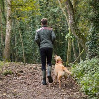 Derwent II Bruin Laarzen