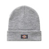 Dickies Cuffed Heather Grey Beanie