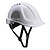 PORTWEST PS54 Endurance Plus Helm