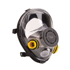 Volgelaat maskers