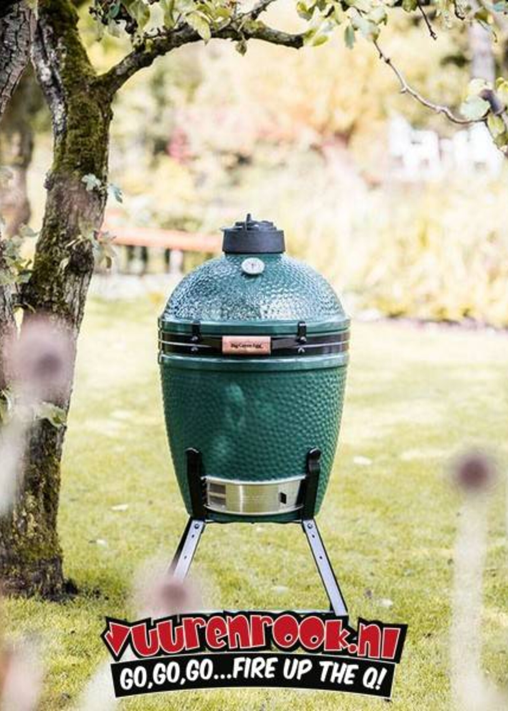 Big Green Egg Big Green Egg  Nest (Onderstel) Large