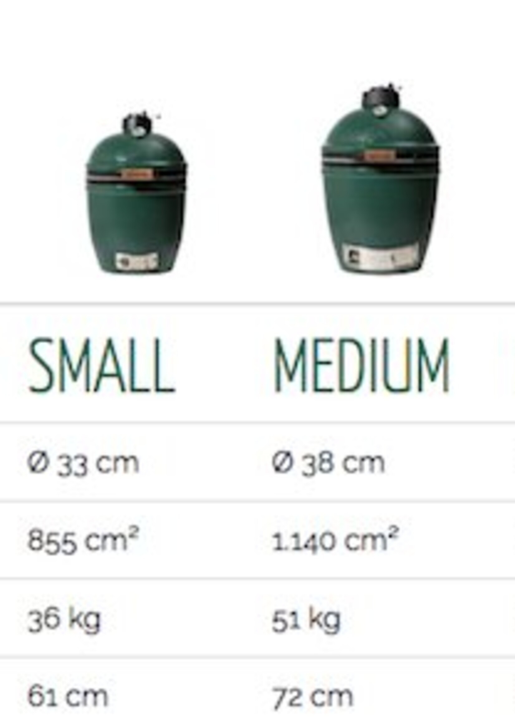 Big Green Egg Big Green Egg Large