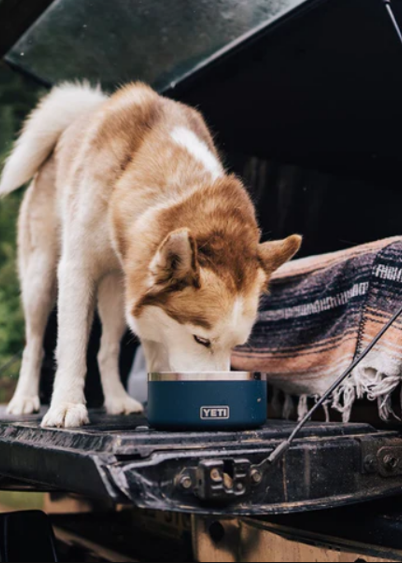 YETI Yeti Boomer 4 Dog Bowl Charcoal