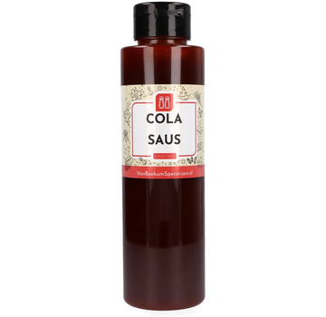 Van Beekum Van Beekum Cola Sauce 500 ml