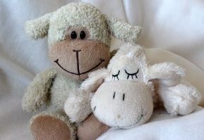 Hoeveel uur slaap heeft men nodig - van baby tot volwassenen?