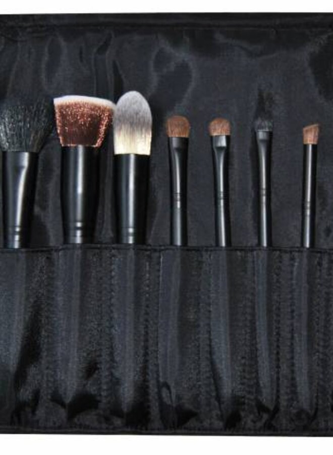 Professional Brush Trousse