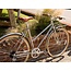 Butterfly 8spd Town Bike - Chrome