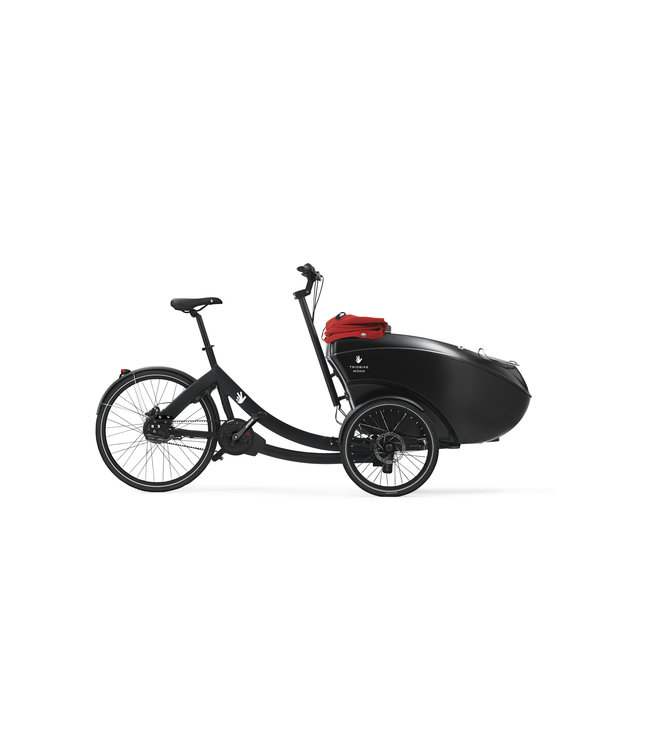 trio cargo bike