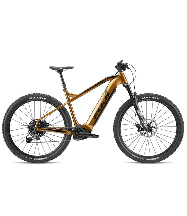 fuji beach cruiser electric bike