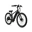 Pace 250 Electric Bike