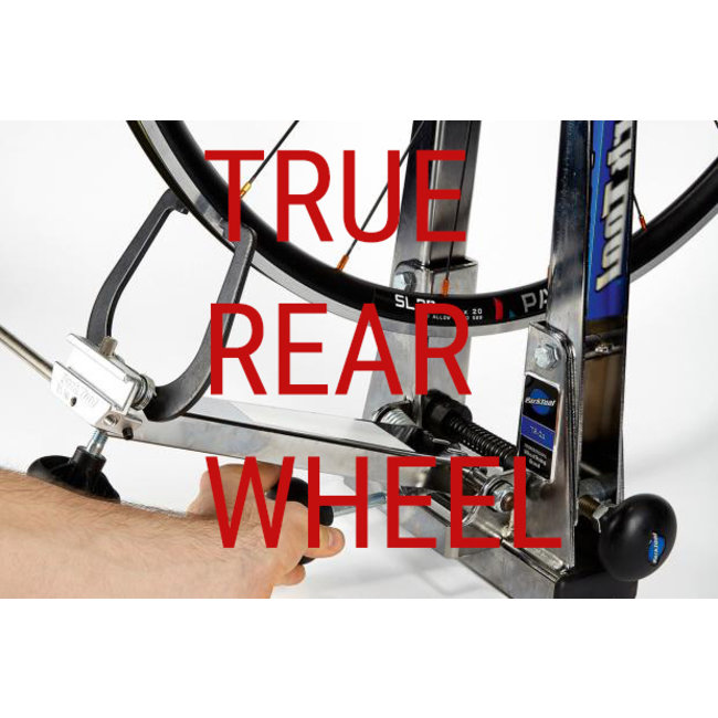 True Rear Wheel