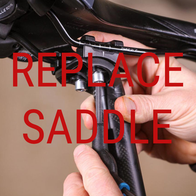 Replace Saddle