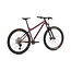 NS Bikes Eccentric Cromo 29 - 2021