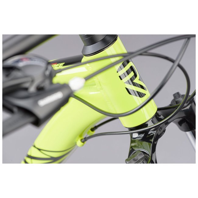 ridgeback tour 2021 review