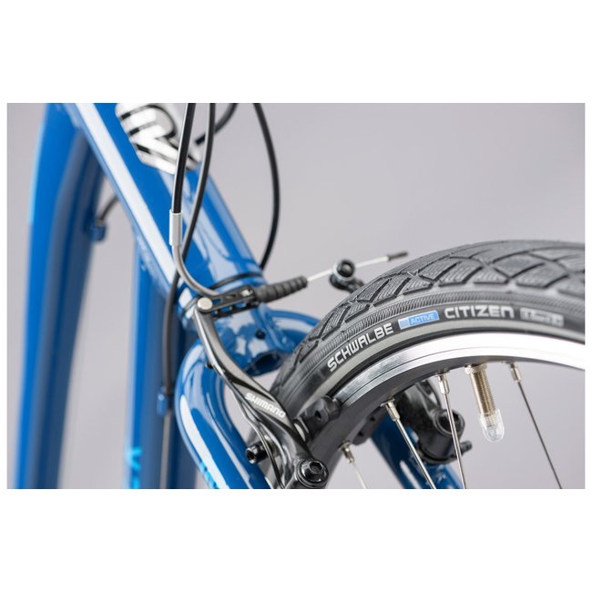 ridgeback velocity 2020 review