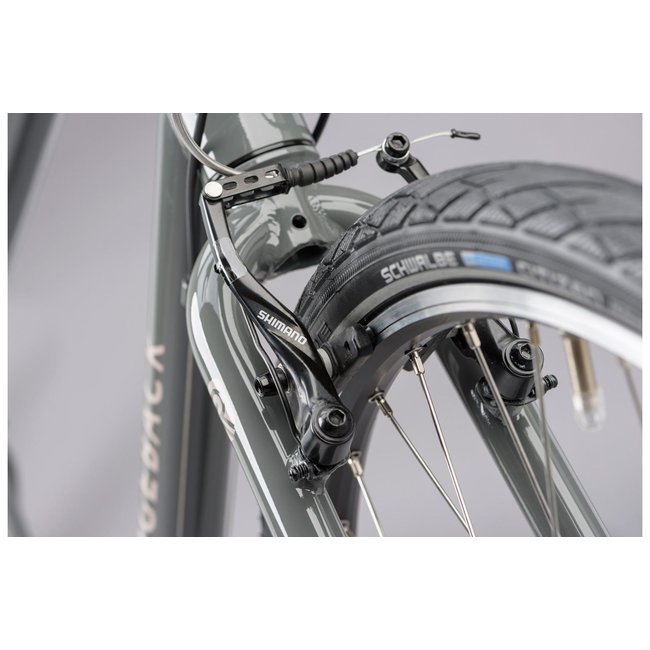 ridgeback velocity 2020 review