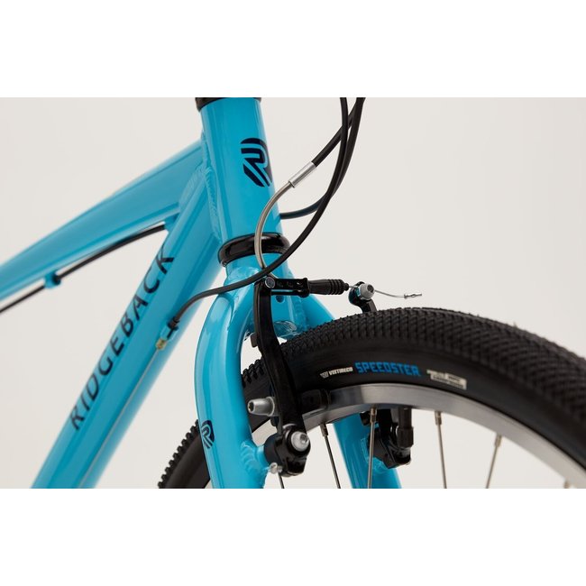 ridgeback dimension 26