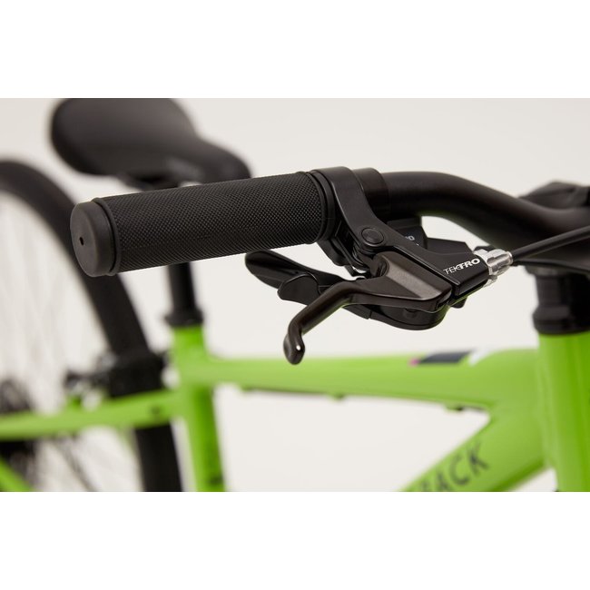 ridgeback dimension 24 purple