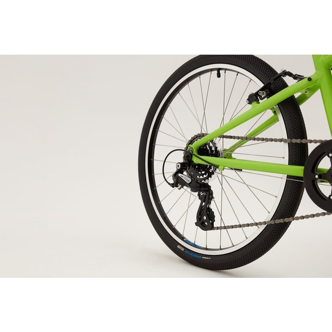 ridgeback dimension 24