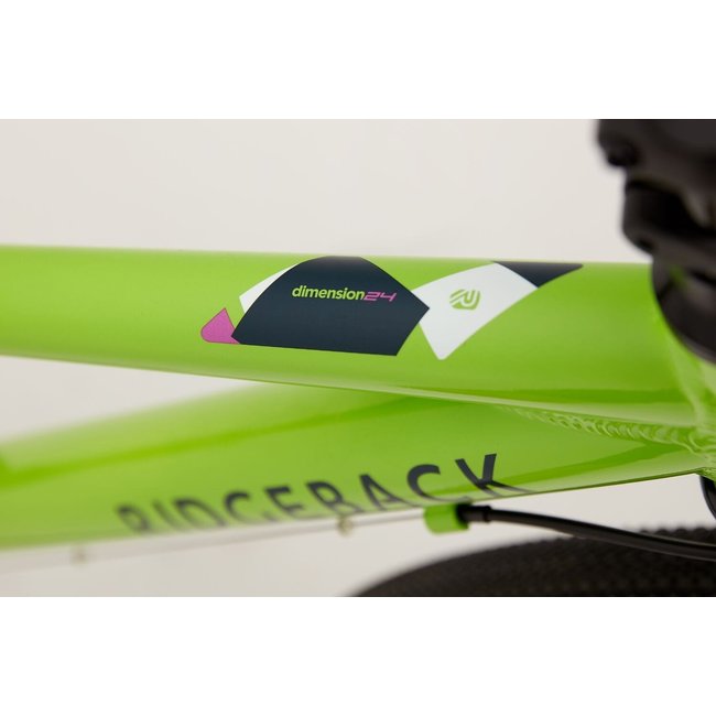 ridgeback dimension 24