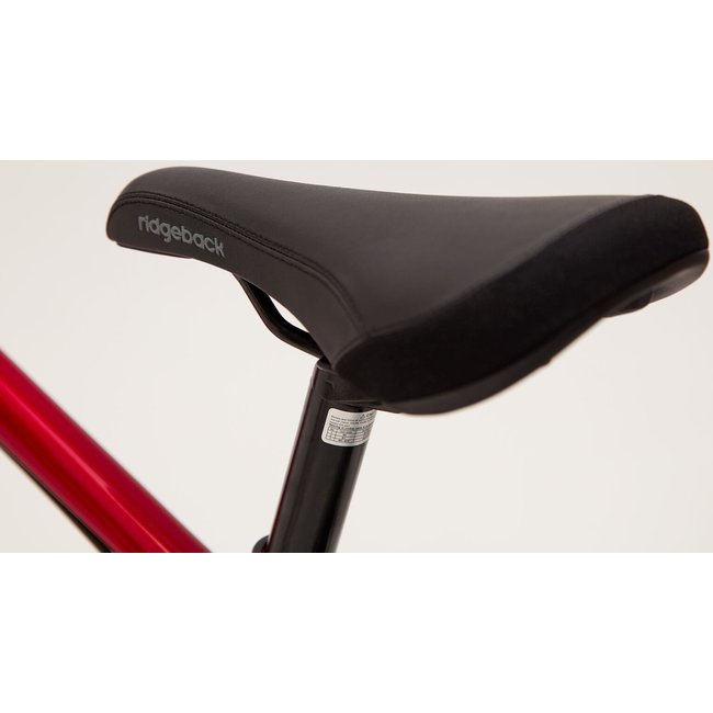 ridgeback dimension 20