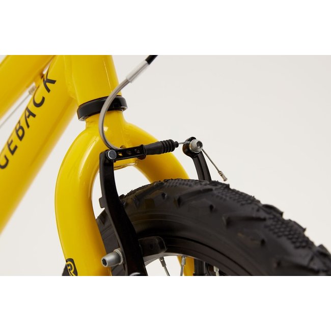 ridgeback mx16 bike
