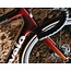 R5 SRAM Force eTap AXS - 2024