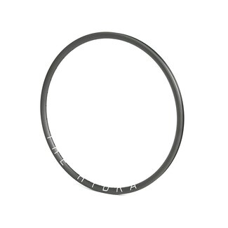 The Hydra Disc Rim