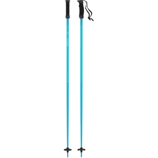 Atomic Poles AMT SQS