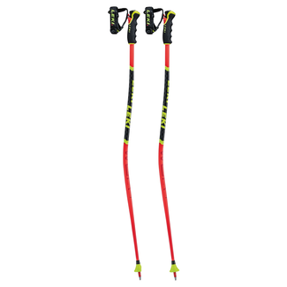 Leki Poles WCR Lite GS 3D