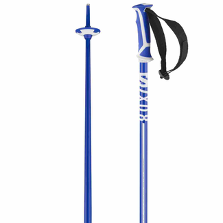 Salomon Poles X 08