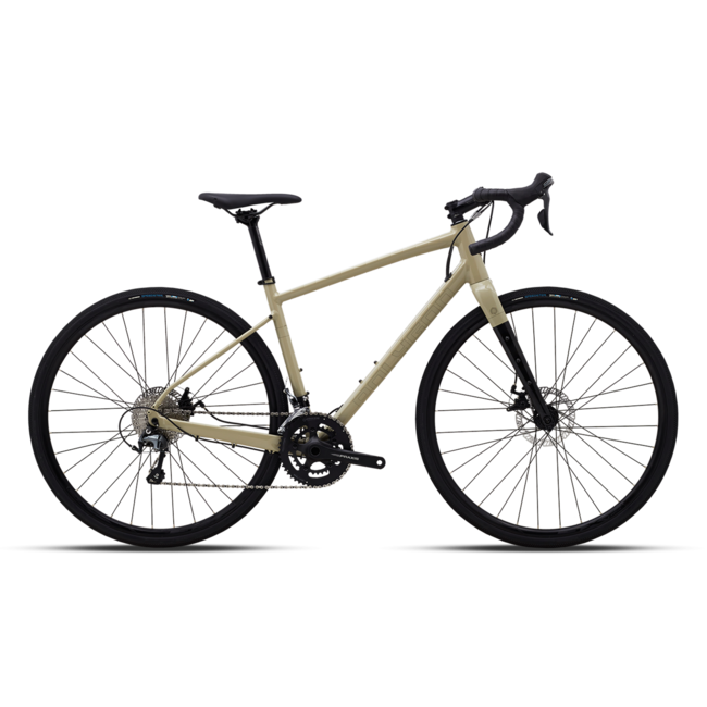 Polygon Path X4 Simple Bike Store