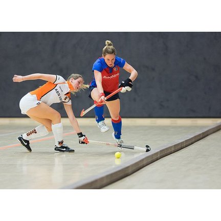 Hallenhockeyschläger