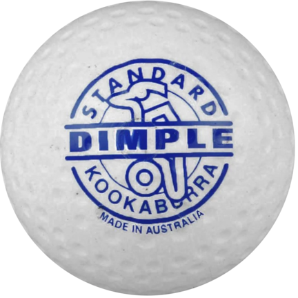 Water field hockey balls