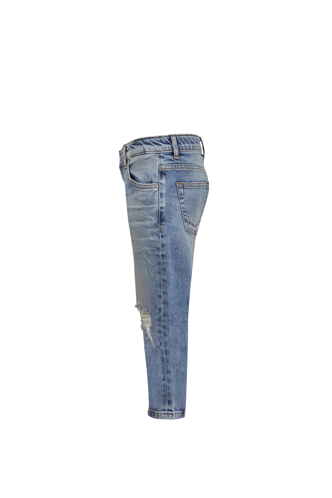 Eliana // 53269 gaura