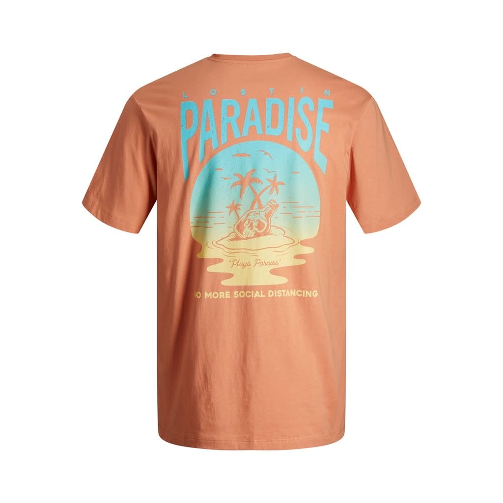 JJCHILLER TEE SS CREW NECK JNR 12207274 Shell Coral