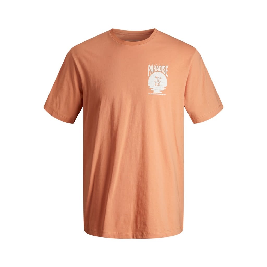 JJCHILLER TEE SS CREW NECK JNR 12207274 Shell Coral