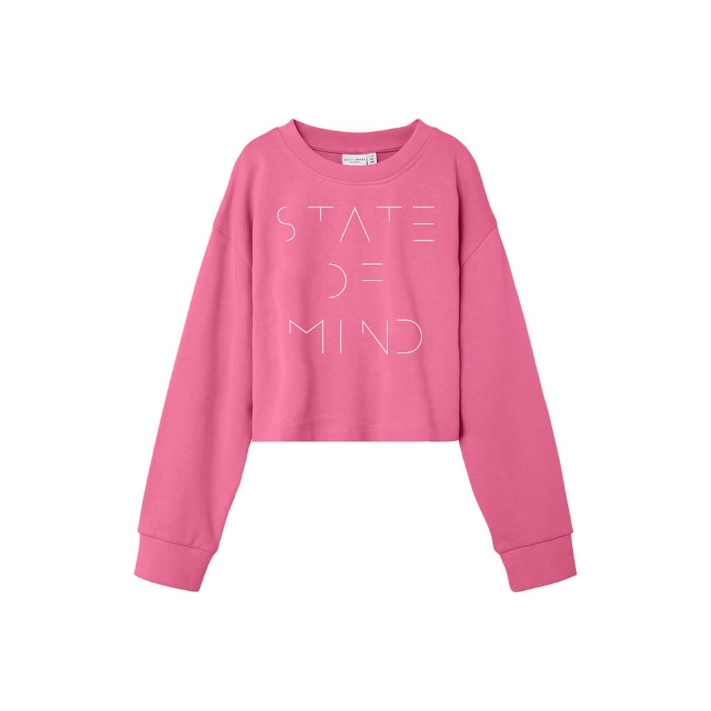 NKFVANITA LS CROPPED BOXY SWEAT 13204795 Chateau Rose